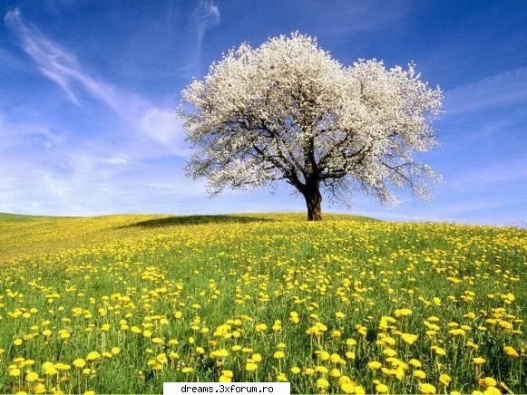 Poze din natura - Sa punem cele mai frumoase poze din natura pe - ★Ecologie★