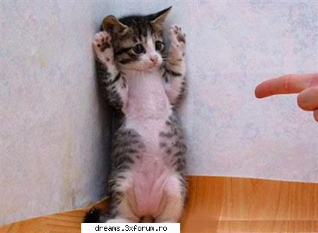 Rate the funny pics - "Puneti o poza haioasa din anime, iar userul care - ★Jocuri★